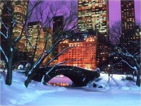 central park 5