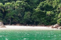 praia Campeche Brasil