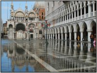 Venezia
