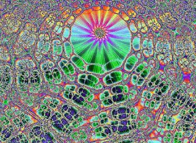 Celosía fractal (presentado por Stanley Miller)
