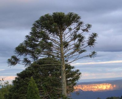 Puesta de sol sobre las Montañas Azules (Enviado por Caroline Craig)