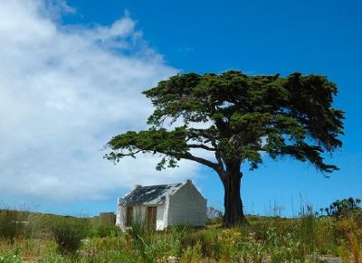 Cape Point, Sud Africa