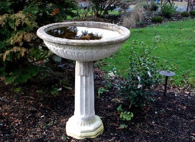 Birdbath