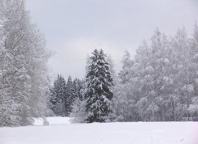 Риихимаки, Финландия