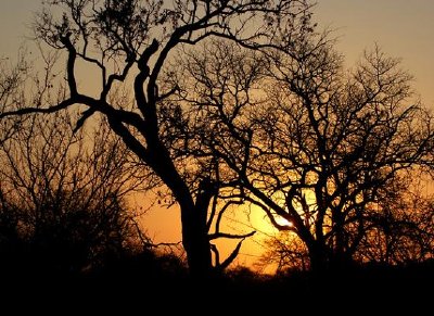 Sonnenuntergang in Afrika