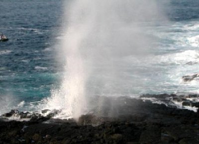 Le Galapagos