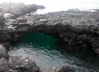 ガラパゴス諸島