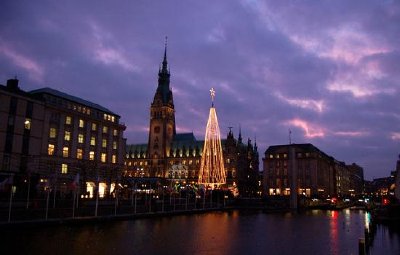 クリスマスツリー、ハンブルク、ドイツ