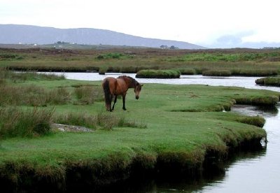 Connemara, Irland