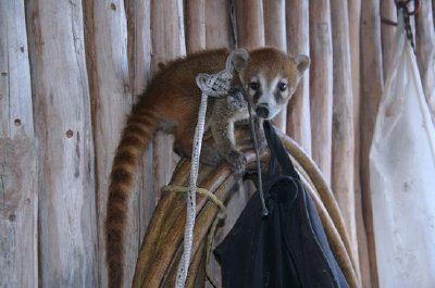 メキシコ、トゥルム