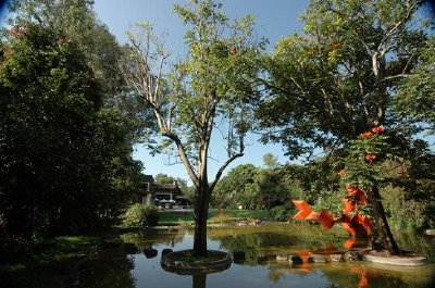 Barrio, Messico