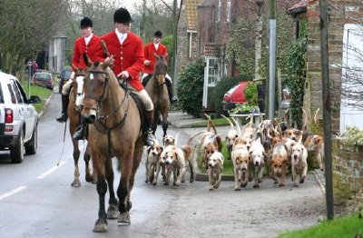 Caballos y sabuesos