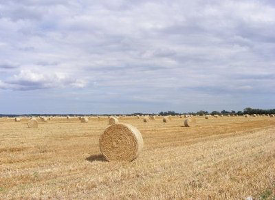 Billets av hö med full himmel