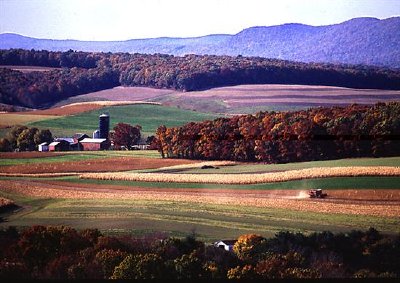 L'agriculture près de Klingerstown, Pennsylvanie