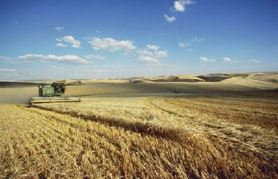 Cosecha de cebada en Washingtons Palouse Hills