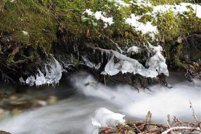 Scène d'hiver