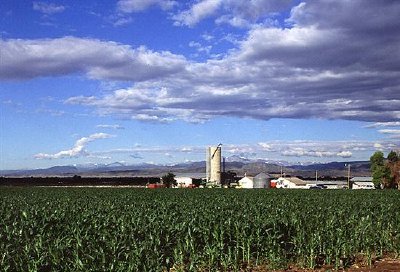 Produção de milho no Colorado