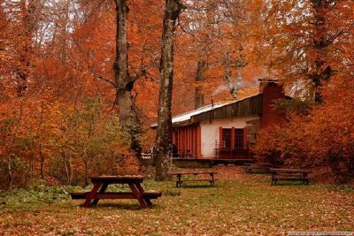 Escena de otoño en Turquía