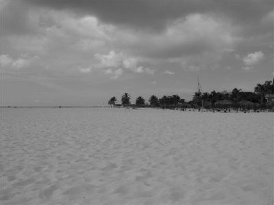 Ein Strand in Aruba