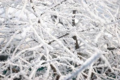 Frost jigsaw puzzle