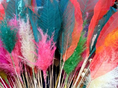 Feathers