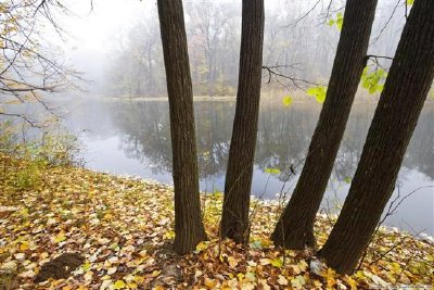 Escena de otoño