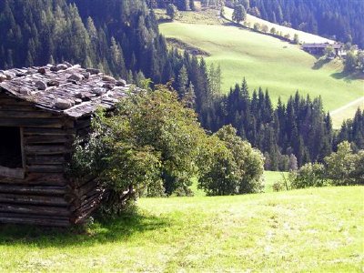 Zwieselegg - Wagrain, Österreich