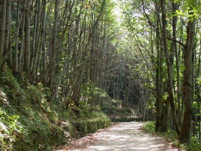 Paisagem da Itália