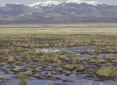 Réserve faunique nationale d'Alamosa / Monte Vista