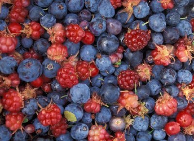 Alaska Wild Berries