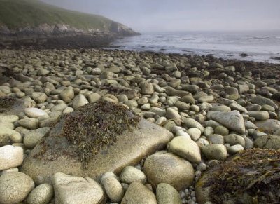 Plaża na wyspie Chowiet