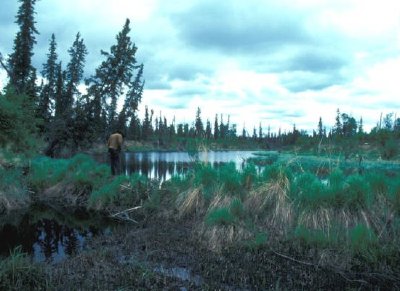 Beaver Dam och Pond