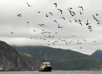 Wielka wyspa Koniuji i MV Tiglax