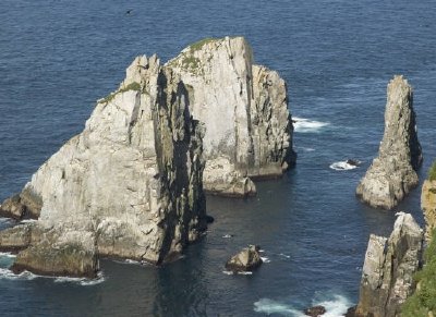 Chowiet seabird colonies