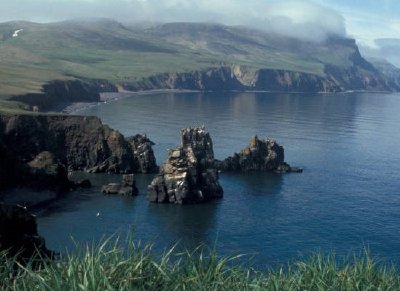 Hall Island , Bering Sea