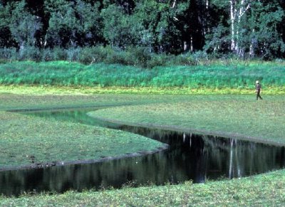 Innoko Refuge Wetlands