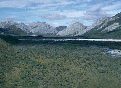 Vallée de la rivière Junjik en été