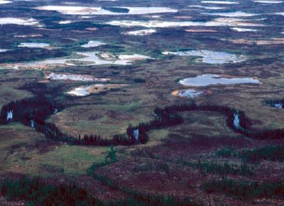 カナッティ保護区の焼失地域と湿地