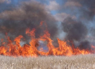 Marsh burn at Tule Lake National Wildlife Refuge 2005. jigsaw puzzle