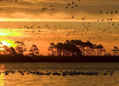 Pôr do sol no Refúgio Nacional da Vida Selvagem de Chincoteague