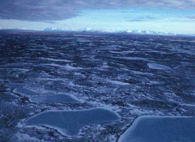 ベチャロフ湖の西の湿地