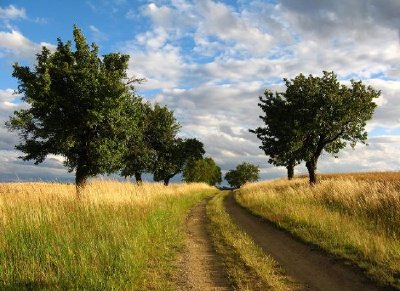 Nature jigsaw puzzle