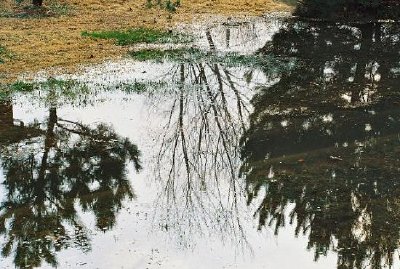 Nach dem Regen