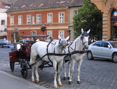 Przewóz w Budapeszcie