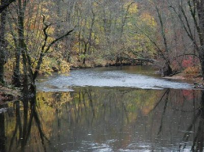 Wald im Herbst