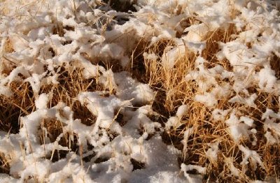 Snow jigsaw puzzle