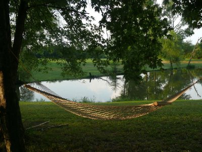 A hammock