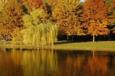 Una escena de otoño