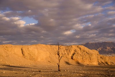 Tramonto nel deserto