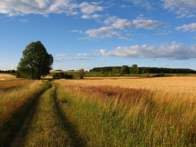 Czech Republic, Summer